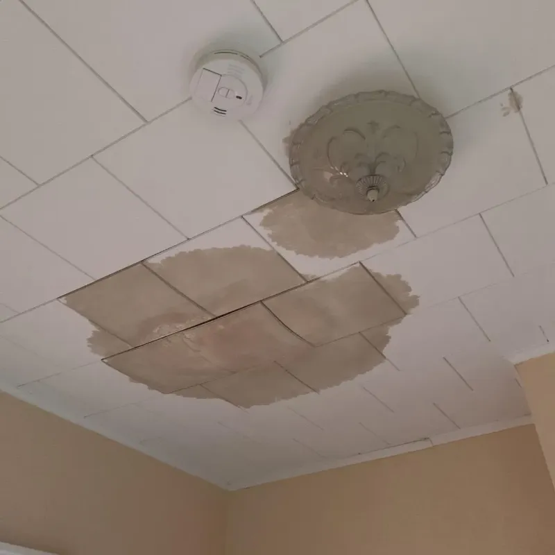 Ceiling Water Damage Repair in Bradford County, PA