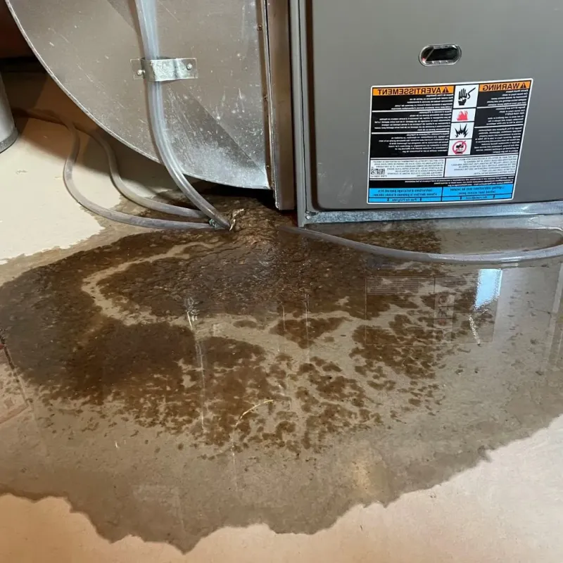 Pipe Burst and Leak Restoration in Bradford County, PA