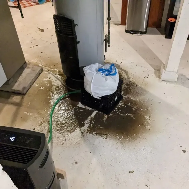 Sewage Backup Cleanup Service in Bradford County, PA
